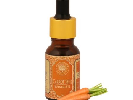 Organicos Carrot Seed Essential Oil Hot on Sale