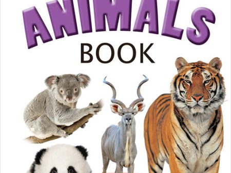 Dreamland Baby s First Pre-School Series - Animals Hot on Sale