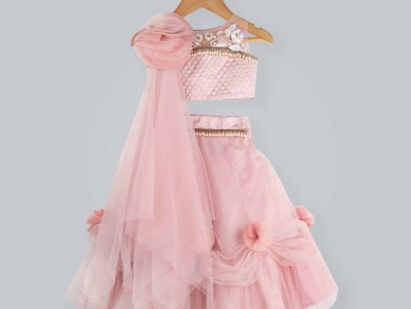 Pink Cow Fashions Old Rose Ghagra Choli With Embellishment On Upper Chest Hot on Sale